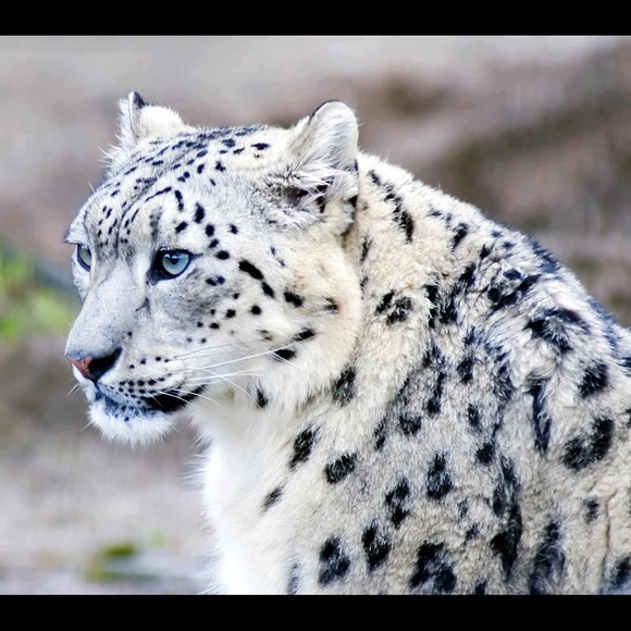 🌍five star seller - check my love notes - Picture 8 of 16